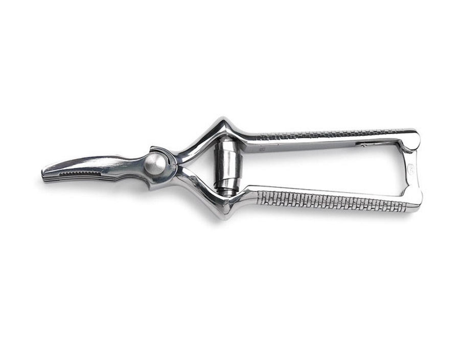 COLTELLERIE SANELLI ACCESSORI PROFESSIONALI, MASTICATORE CURVO INOX, 18 CM