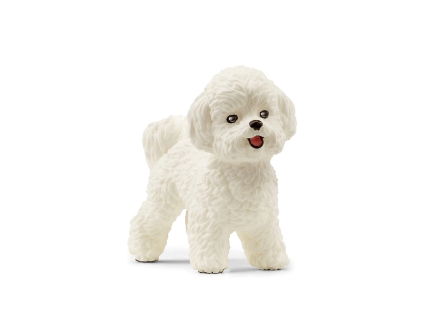 SCHLEICH BICHON FRISE'