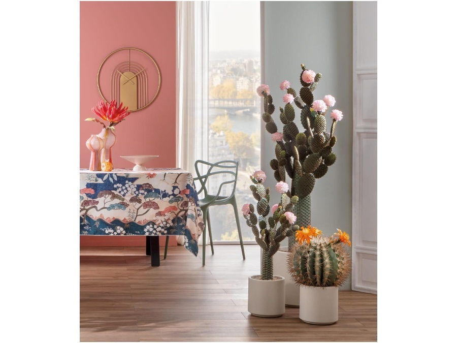 L'OCA NERA Cactus fiori rosa