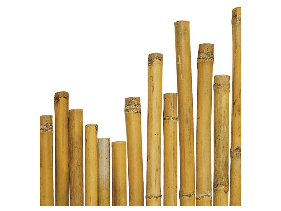 VERDELOOK Canna in bambù - MISURA H. 180 x Ø 2.4-2.6