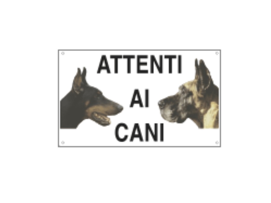 CARTELLI SEGNALATORI Cartello adesivo, EasyFix, "attenti AL CANE" 30X20 CM