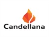 CANDELLANA CANDLES Candela Bulldog Classic Candellana - COLORE GOLD