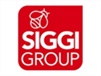 SIGGI GROUP SPA Felpa alta visibilità arancio fluo