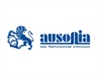 AUSONIA Ausonia Fusion Frattazzo per colla 28×12