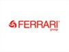 FERRARI GROUP SRL Siringa per olio