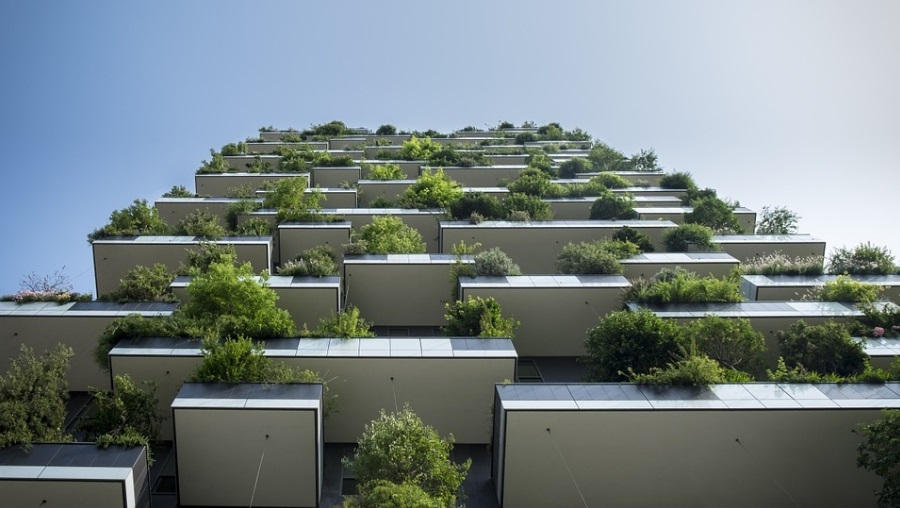 Orto sul balcone: come realizzarlo e quali vasi scegliere?