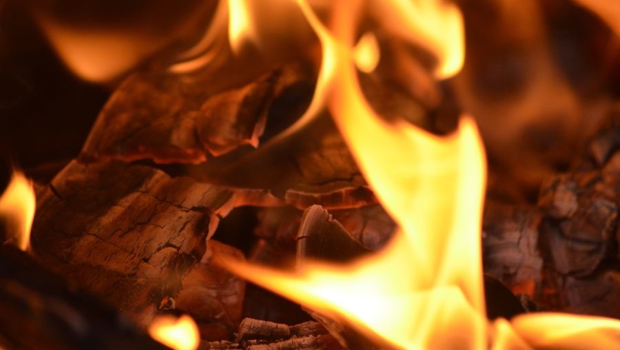 Come fare la legna da ardere: taglio, raccolta e stoccaggio corretto