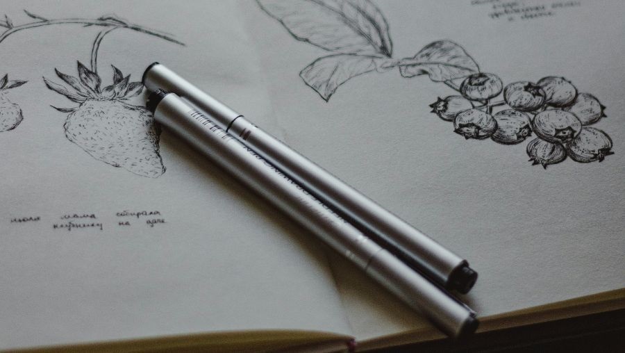 Cosa serve per disegnare: suggerimenti per principianti e appassionati