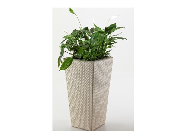 RE GARDEN S.R.L. Porta vaso quadro in wicker beige, 120 cm
