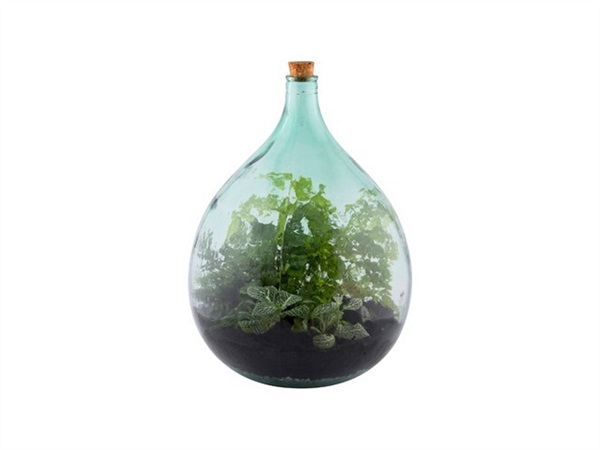 Set Terrarium in vetro Large, 35 lt