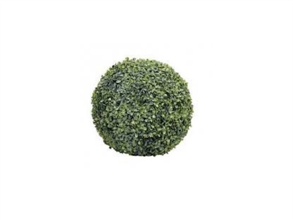 VERDEMAX Sfera di bosso, diametro 40 cm