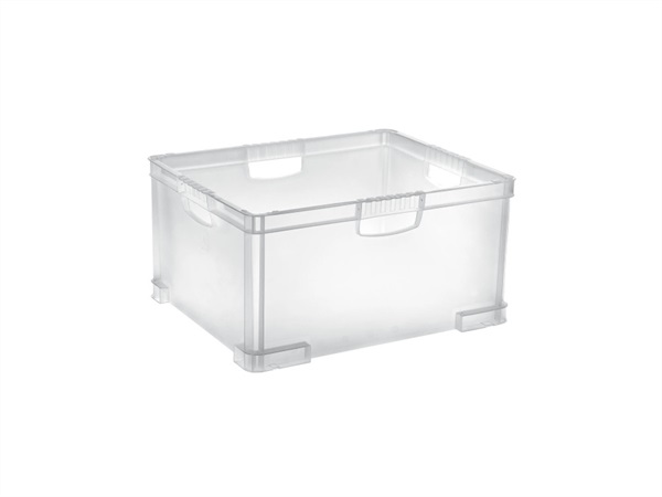 TONTARELLI Box grande aurora, 51 Lt, 53x43x27 cm