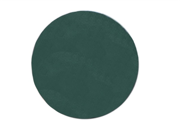 RAIMONDI Disco feltro verde (media abrasività)