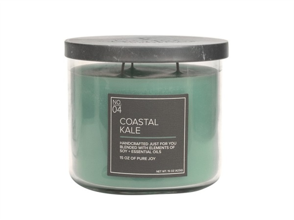 VILLAGE CANDLE Candela di soia e olii essenziali village candle®, Coastal Kale