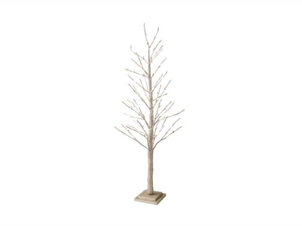 BRANDANI GIFT GROUP S.A.S. Faggio con 114 led, champagne, h. 120 cm