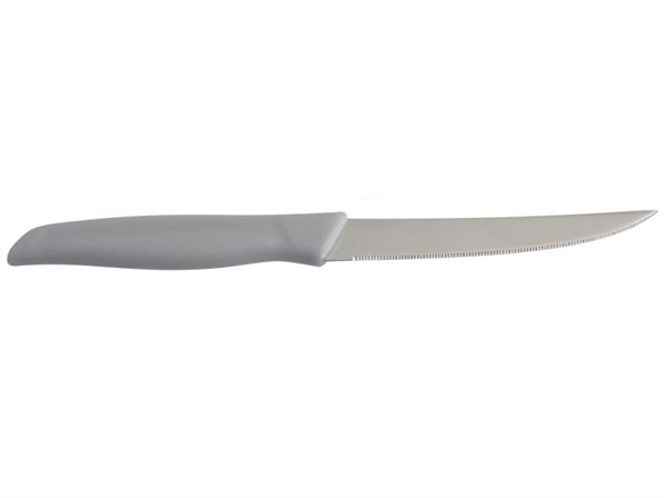 FACKELMANN ITALIA S.R.L. coltello per carne, grigio