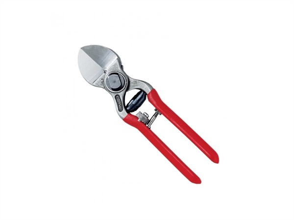 AUSONIA Forbice per frutteti professionale a doppio taglio cm 21
