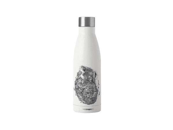 MAXWELL & WILLIAMS Marini Ferlazzo Bottiglia a doppia parete isolata 500ml Koala