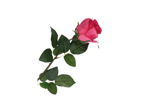 UNITABLE Fiorile, Bocciolo Rosa Real Touch Fucsia