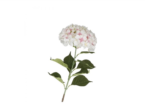 UNITABLE Fiorile, ortensia bianca