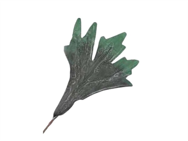 UNITABLE FLORA, verde platycerium