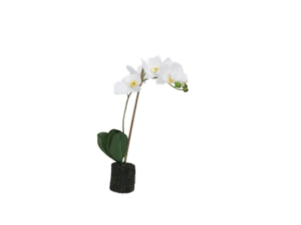 UNITABLE Veronica, zolla con orchidee bianche - s