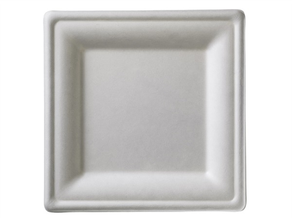 LEONE Piatto quadrato in polpa cm.16x16x1.5h - 50 pezzi
