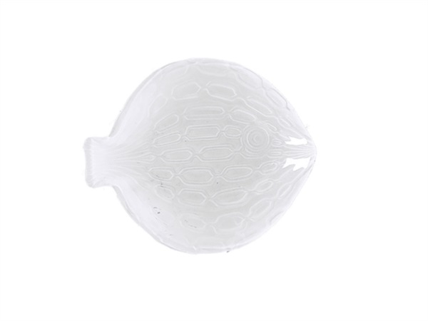RITUALI DOMESTICI Susanna bianco, piatto pesce l in vetro 29,5x26xh4 cm