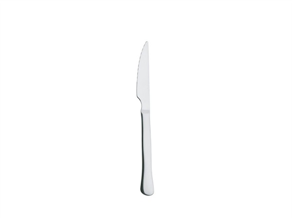 ABERT Pampero, coltello carne in acciaio inox 18/10, 222 mm