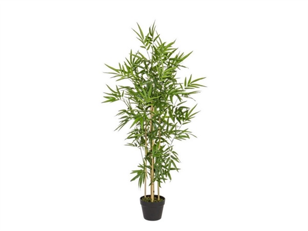 BIZZOTTO Pianta bamboo con vasi, h. 130 cm