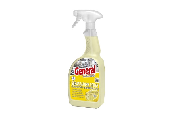 GENERAL PROFESSIONAL Sgrassatore spray multiuso, 750 ml
