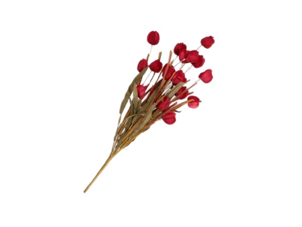 RITUALI DOMESTICI Quelmazzolindifiori, coriandolo rosso