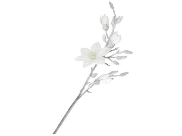 RITUALI DOMESTICI Ghiacciata, magnolia m