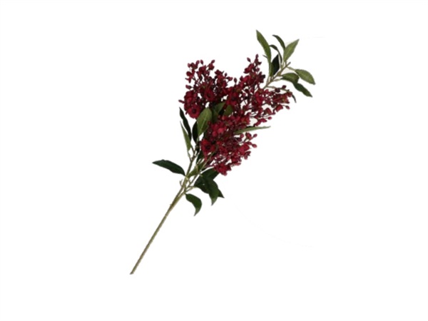 RITUALI DOMESTICI Quelmazzolindifiori, waxflower rosso