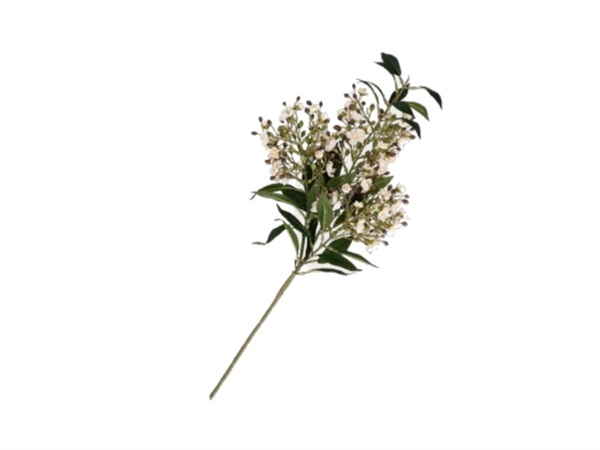 RITUALI DOMESTICI Quelmazzolindifiori, waxflower crema