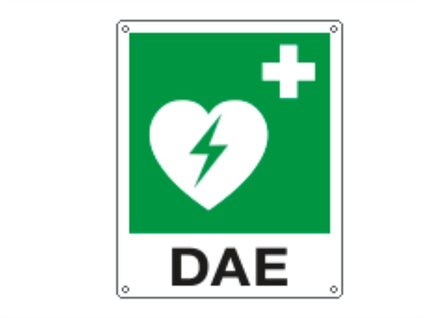 CARTELLI SEGNALATORI Cartello defibrillatore di emergenza simbolo piu' testo 25x31 cm