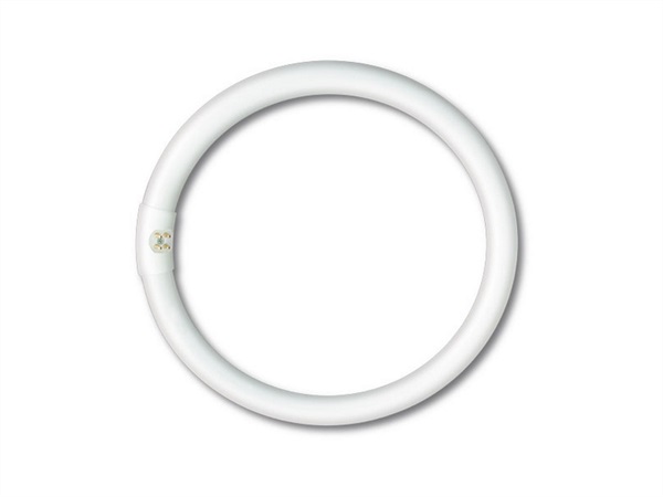 NOVA LINE Circolina Fluorescente, 22 W, luce fredda, LRT22F