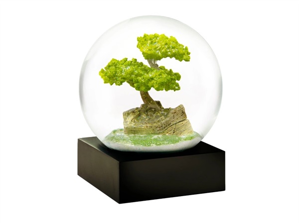 COOLSNOWGLOBES Palla di neve - bonsai