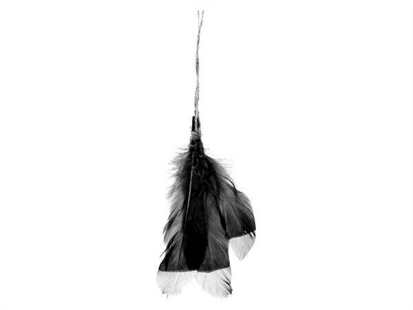 POMAX Pendente piume Velia Pomax, nero-champagne, 20 cm