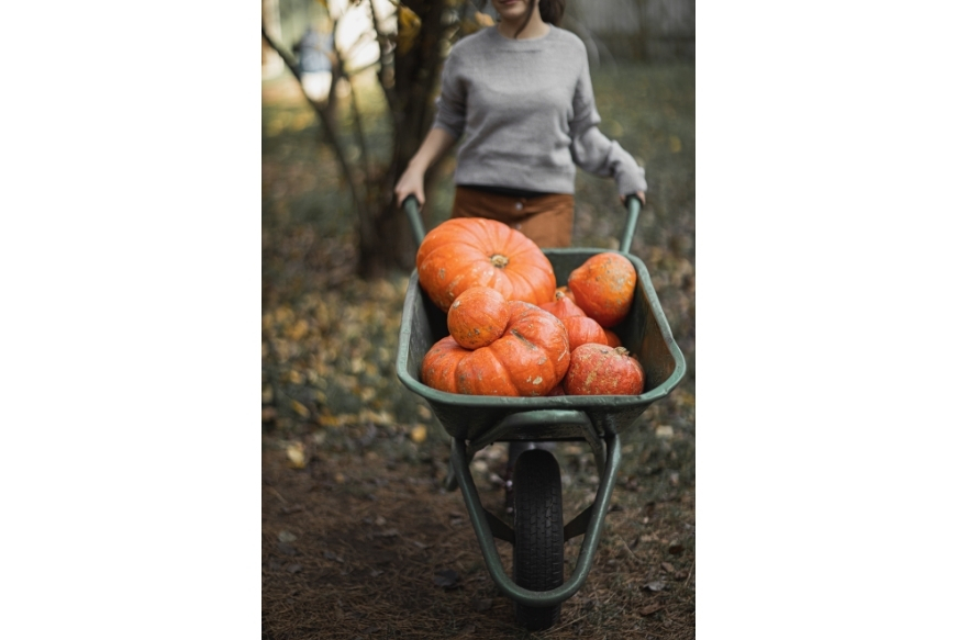 giardino-in-autunno-cosa-fare-zucche