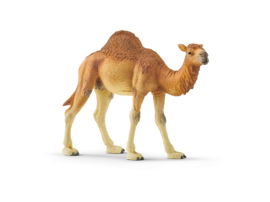 SCHLEICH DROMEDARIO