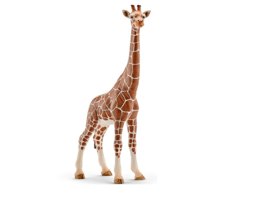 SCHLEICH Femmina di giraffa