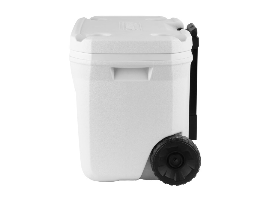 COLEMAN Frigo marine xtreme 50QT, con ruote, 47 Lt