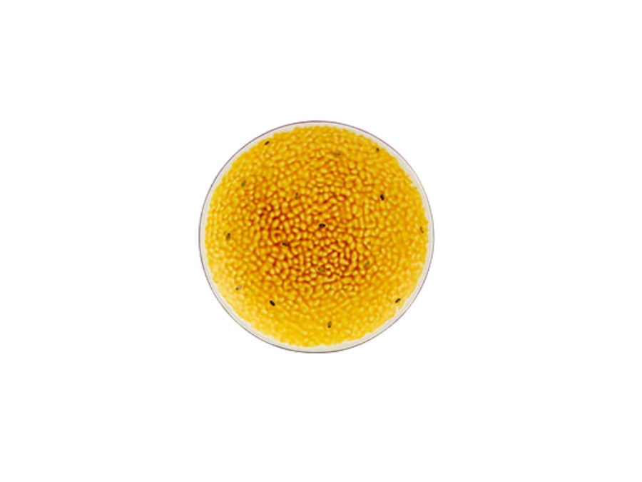BORDALLO PINHEIRO Frutos tropicais, piatto dessert passion 21 cm