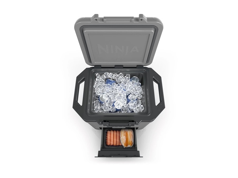 NINJA Ghiacciaia rigida Ninja FrostVault 28L - grigio ardesia