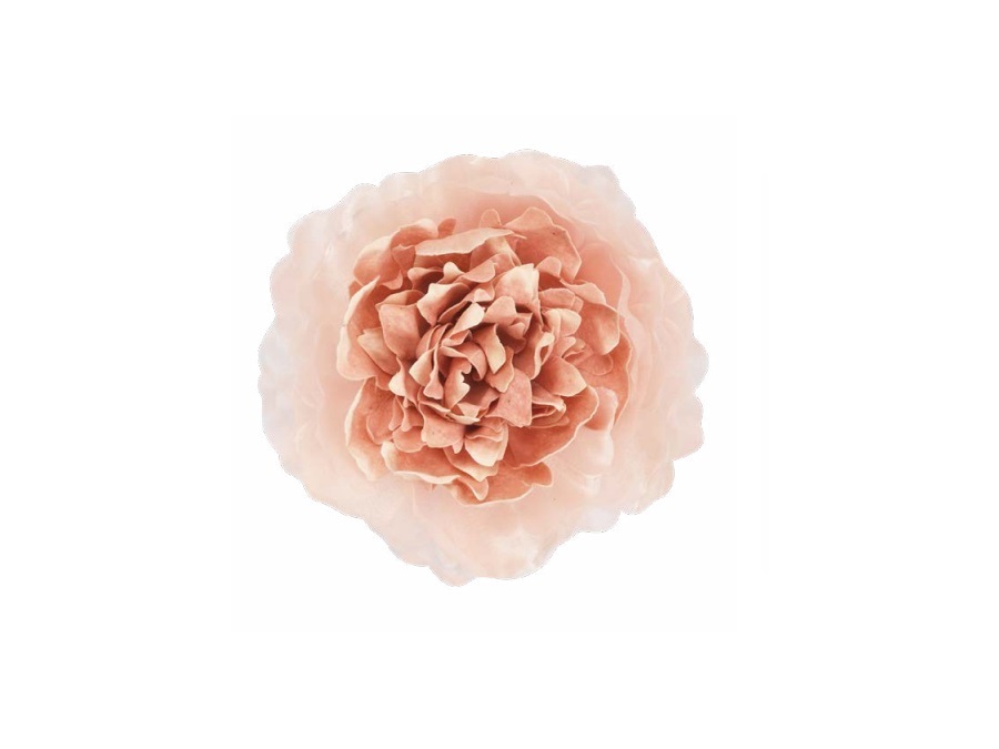 MAMI MILANO Giardino delle fragranze, Fiore diffusore grande rosa Ø 12 cm