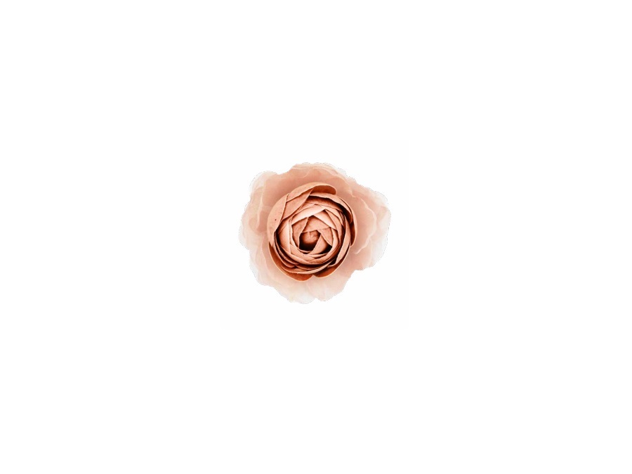 MAMI MILANO Giardino delle fragranze, Fiore diffusore medio rosa Ø 8,5 cm