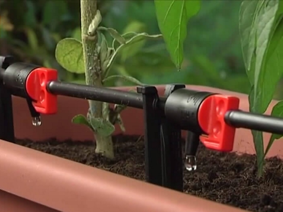 Irrigazione goccia a goccia  acquista su ferramenta vanoli