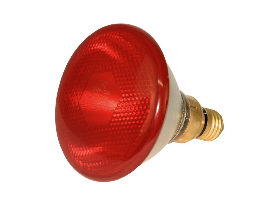 CORNALBA G.T. SRL LAMPADA EUROFARM 100W PESANTE,  ROSSA