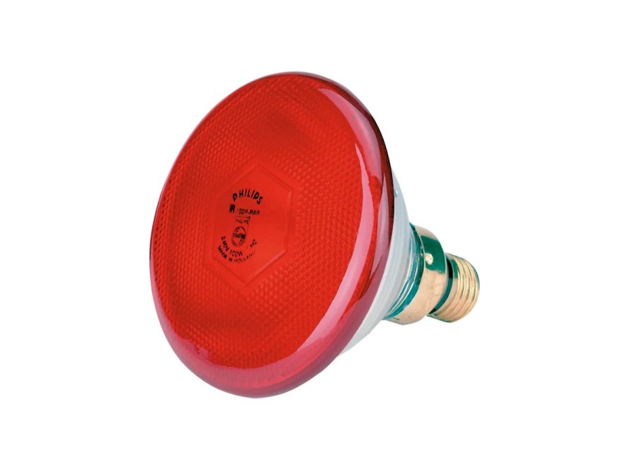 CORNALBA G.T. SRL LAMPADA PHILIPS 100 W PESANTE ROSSA